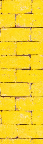 NAKLEJKA NA ŚCIANĘ FOTOTAPETA 75x250 CEGŁA
