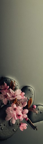 6e641cdaada394b40ff5158f8802cf5f