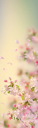 b50a9148d56586c44d72e114d7b7ff84