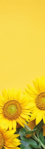8209b2af6a75f842d39f6ca7d3c2568d