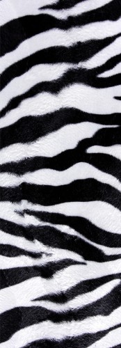 NAKLEJKA NA ŚCIANĘ FOTOTAPETA 87x250 ZEBRA