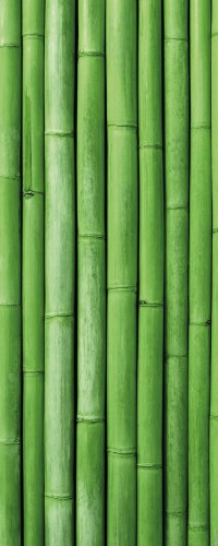 c77b3abf4251ad17e5d63249de5310b0