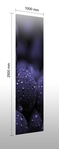 5c7bab7006f704423fc70f617014e038