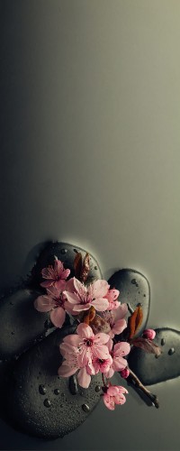 2d1d212278918a8713556feb2c7adfce