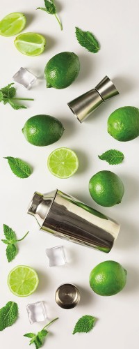 NAKLEJKI NA ŚCIANĘ FOTOTAPETA 125x250 LIMONKA
