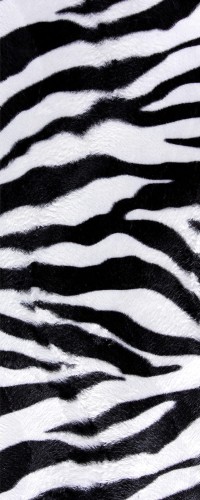 FOTOTAPETA NA ŚCIANĘ NAKLEJKA 135x300 ZEBRA