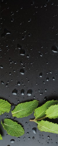 FOTOTAPETA NA ŚCIANĘ NAKLEJKA 135x300 KROPLE