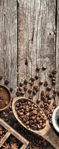 392f3fbc9c2c35105f34096ea9f5226f