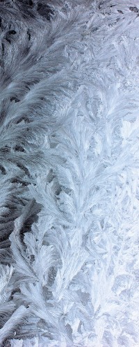 FOTOTAPETA NA ŚCIANĘ NAKLEJKA 150x300 SZRON