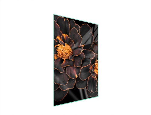 f0b9c8f1a6beeed0f33116d350fcf1e2