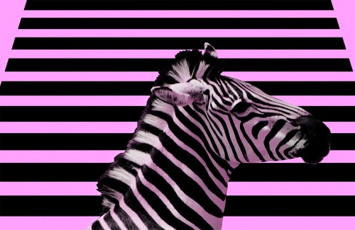 6e2cf462c9a54c0e439be276bc917491