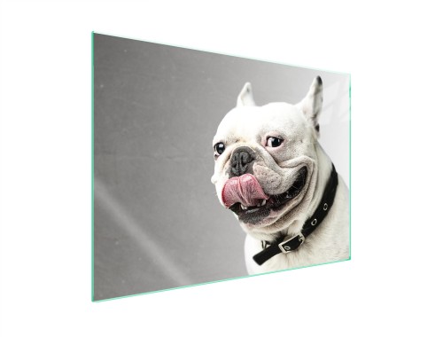 SZKLANA PŁYTA OCHRONNA NA KUCHENKĘ 70x52 Pies