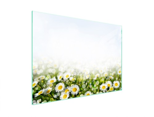 25f06d54381d2b6499ad6075a55ad4c9