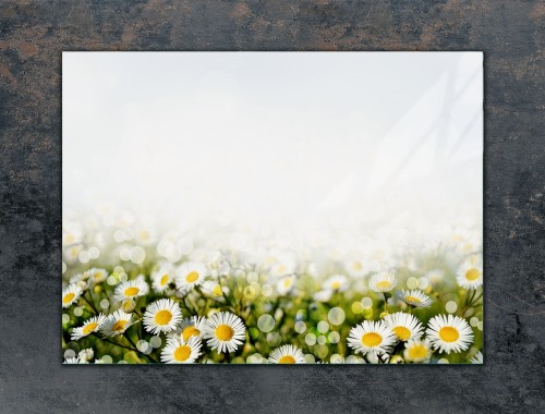 92f48750f32e2508119a80c3794df0a0