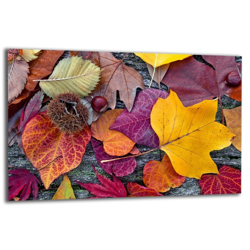 3921512db5f19750062d01fd47387088