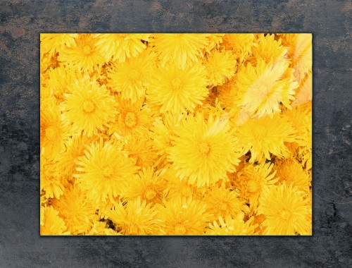 d8167de377701c20f90a98e128d7edc9