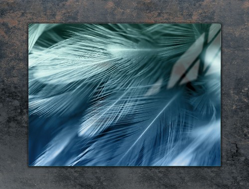 c9c9a96ca2b639ac5cbf8f183bd2c547