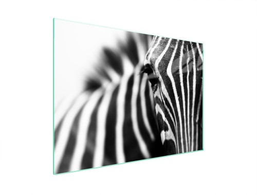 SZKLANA PŁYTA OCHRONNA NA KUCHENKĘ 70x52 Zebra