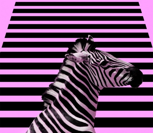 c06cc9a23846b1d529be2f7956ca67a2