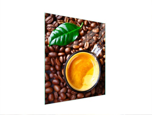 cafce675d64bd1aa9ff56460d58f010d