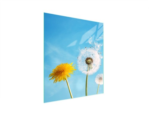 455c75250c082787c4e6971089bd04a5