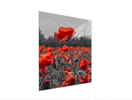 54e8659a133affa1ffd701b27dca2db3
