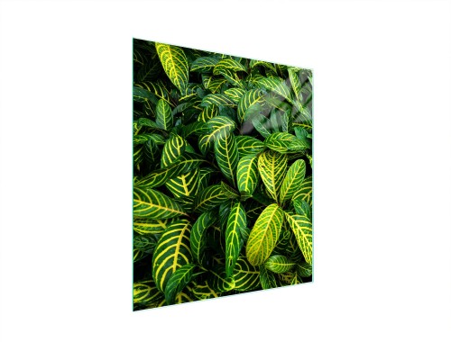 SZKLANA DESKA DO KROJENIA 45x52 Liść