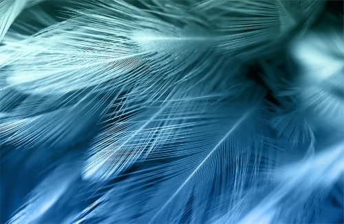 5552d646c7816c63df75982fd8db50ff