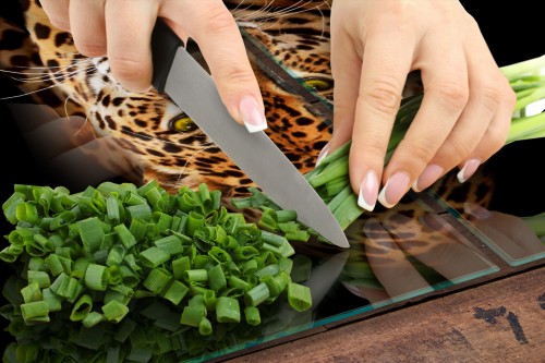 c2861a201737ddb5e974fb7e6035f5a4