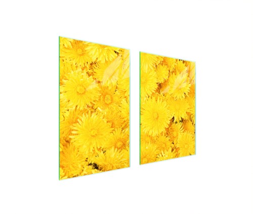 49c387edcc834b6b5707fd884f2dfb8b