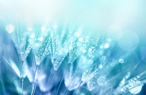 65f0439a70d4e9f3a4050694488e894f