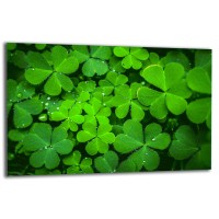 SZKLANA PŁYTA OCHRONNA NA KUCHENKĘ 80x52 90753