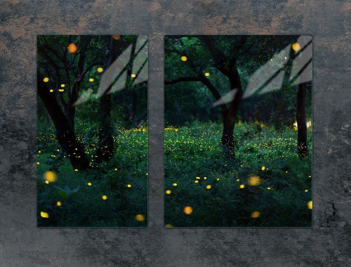 c5d6e2df10392c663fe6705563dd6aba