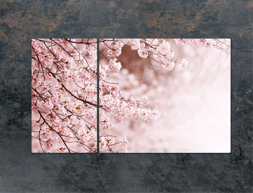 ab572020f7e4bf9c6df54f734c86f7c6