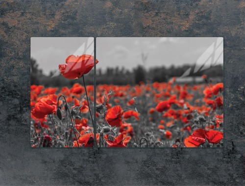 4a815a72bc36532e2e49d6681de74157