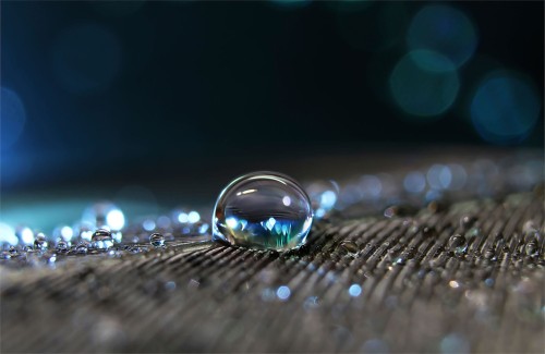 3420fb7f294e40d7acdab94d99ecbb97