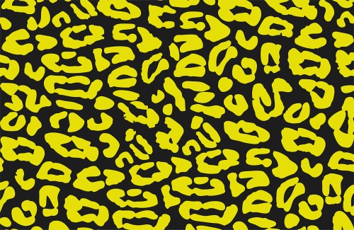 20275963721543a78a2d11a2881a11cb