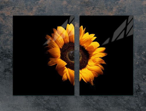 c45a0ae15e326a03f19c016ab4d3595f