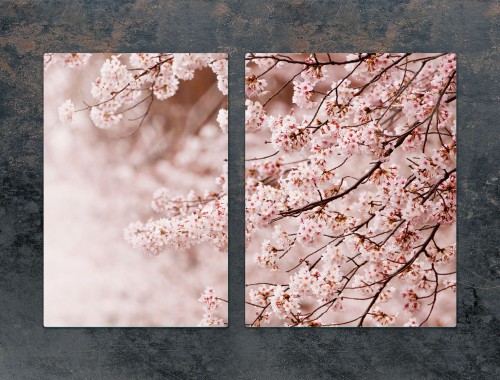 d7802075d8f530d31413a9c2376538a2