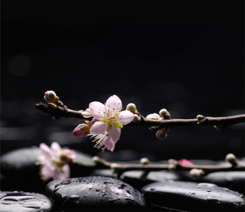 802d708a8704ed28f03956d2d88f49f7
