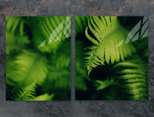 c3175e0043b73ca98909c7d44c969ed6