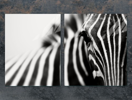 31499dde70e0c51a419a96e7be912346