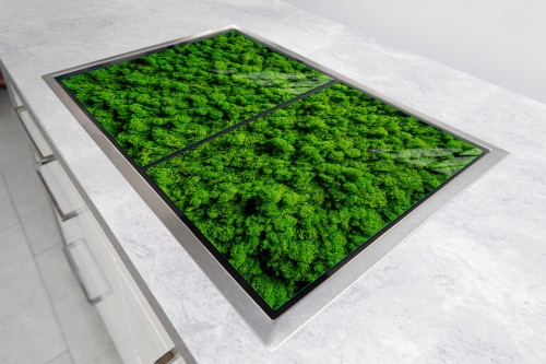 8ace1d374092c05eaed72f294a7ad688
