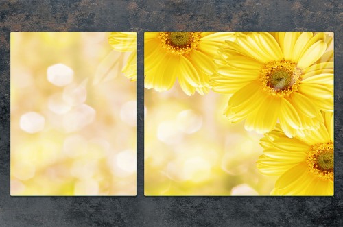 9a238219692ba139a60f750f3384224a