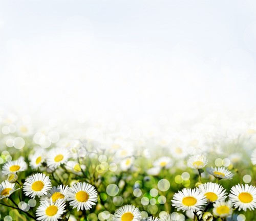 44a6c7b2f8a99687f5b3de8081f01ed0