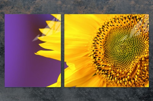 7d79e72f459511eb3ec3ce8ff20b04ba