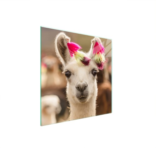 SZKLANA PŁYTA OCHRONNA NA KUCHENKĘ 50x52 Lama