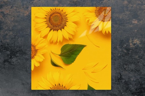 cd170521da28963ed2f3098bccccab13