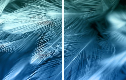 9c629bb0bebc1bfb96043632e889ae09