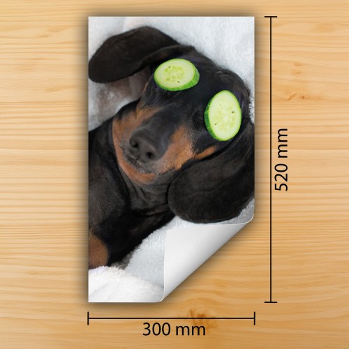 Mata ochronna na kuchenkę indukcyjną 30x52 cm - Mata antypoślizgowa na blat - Płyta ochronna zwijana - Dekoracja do kuchni - Więcej miejsca - Pies Zwierzęta